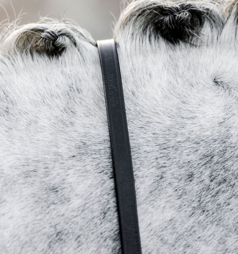Wodze munsztukowe HORSEWARE Curb czarne