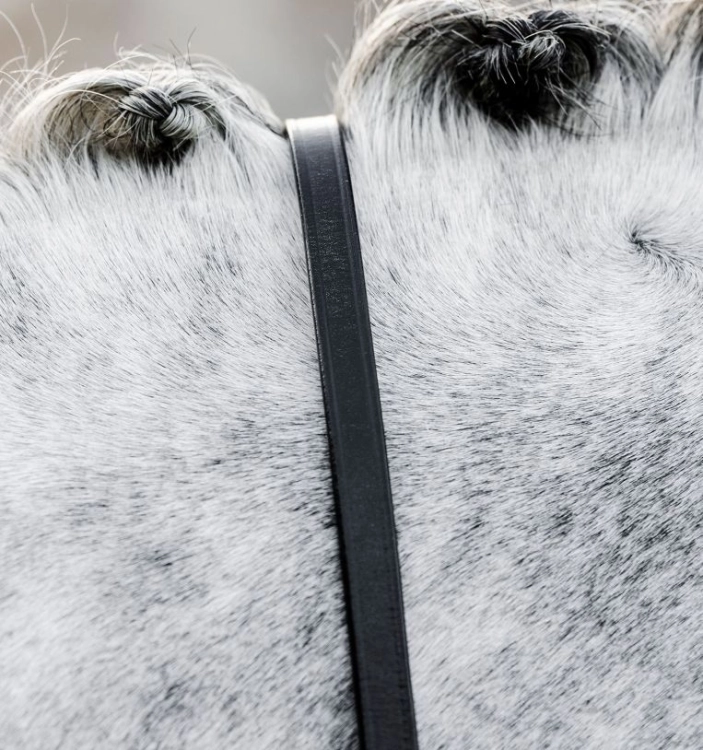Wodze munsztukowe HORSEWARE Curb czarne