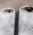 Wodze gumowe HORSEWARE Rubber Grip czarne