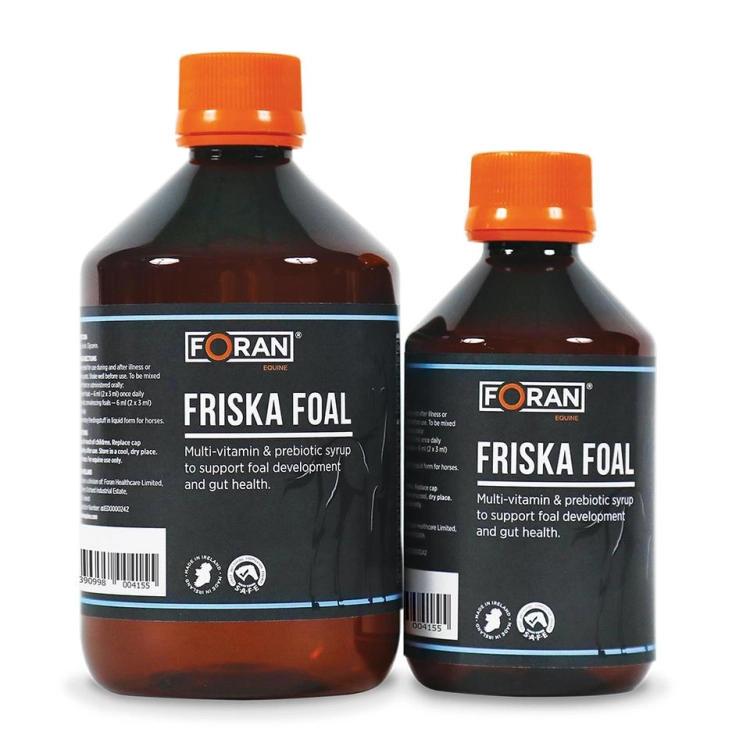 foran-friska-foal-dla-zrebakow.jpg