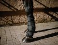 Ochraniacze-chlodzace-EquiTheme-Cool&dry-Fresh-05