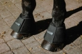 Kalosze-chlodzace-EquiTheme-Cool-dry-Fresh-03