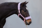 Kantar-START-Elegance-powder-pink-grey