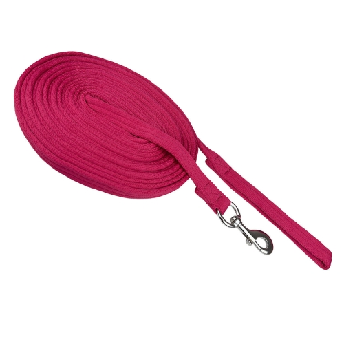 Lonza-York-Fluo-02