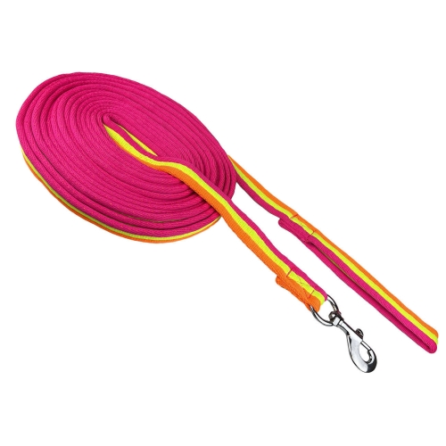 Lonza-York-Fluo-01