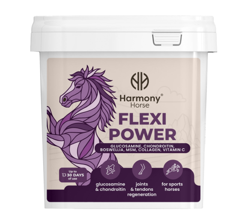 Dodatek-na-stawy-i-aparat-ruchu-Harmony-Horse-Flexi-Power-900g