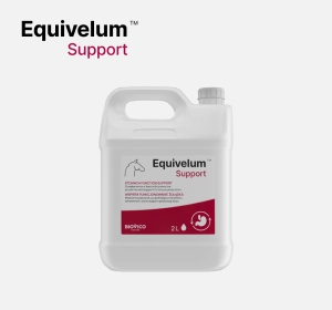 Dodatek na wrzody BIOVICO "Equivelum Support" 2l