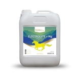 Elektrolity z magnezem HorseLinePRO "Electrolyte + Mg" 5l