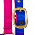 Kantar-START-Ombre-02