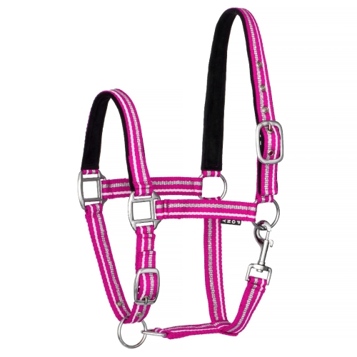 Kantar-START-Zari-Silver-Mini-rani-pink