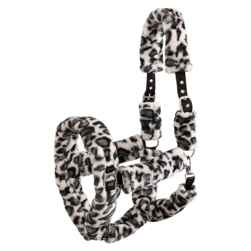 Kantar-Premiere-Leopard