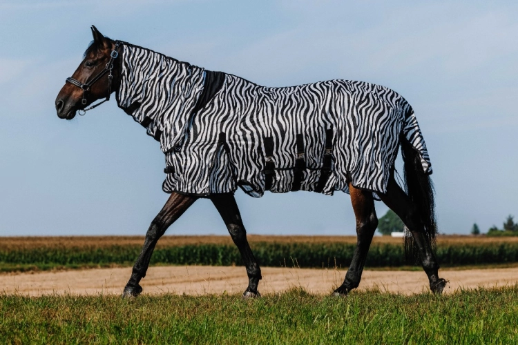 Derka-siatkowa-z-kapturem-RIDING-WORLD-Belly-Mesh-Combo-zebra-01