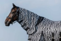 Derka-siatkowa-z-kapturem-RIDING-WORLD-Belly-Mesh-Combo-zebra-03