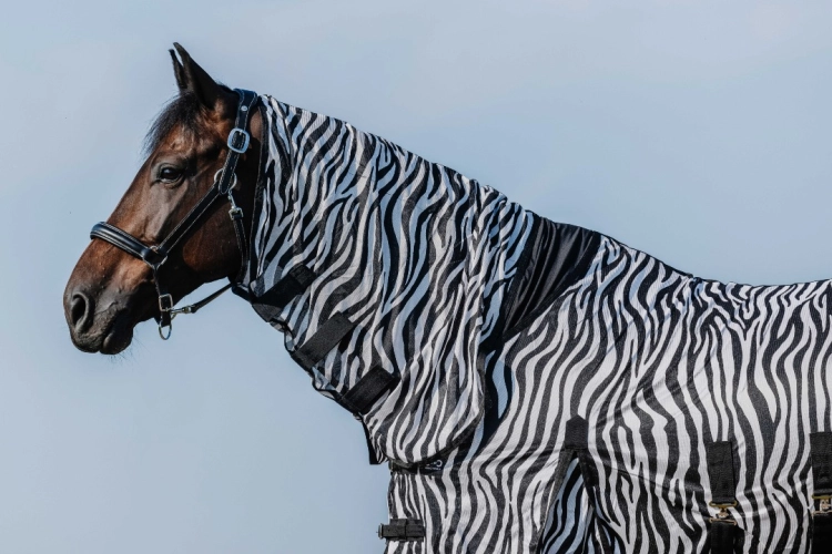 Derka-siatkowa-z-kapturem-RIDING-WORLD-Belly-Mesh-Combo-zebra-03