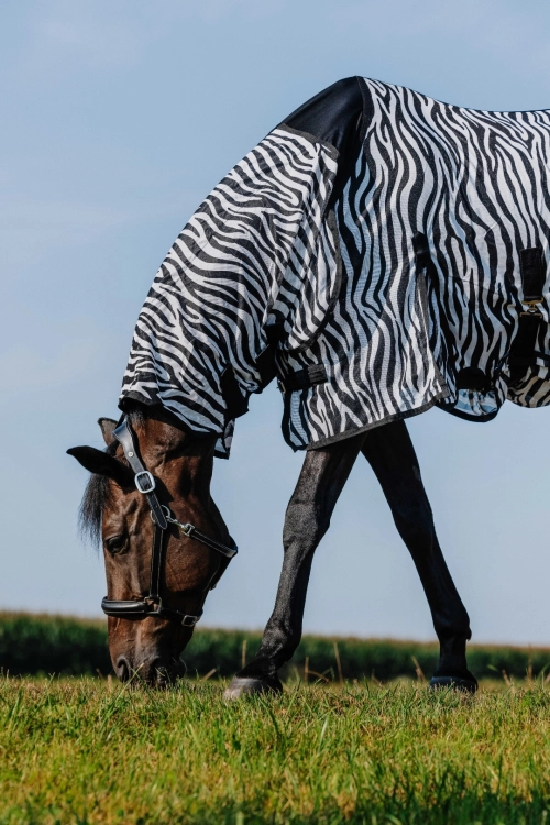 Derka-siatkowa-z-kapturem-RIDING-WORLD-Belly-Mesh-Combo-zebra-04