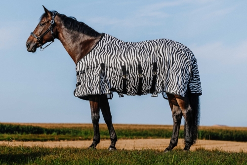 Derka-siatkowa-RIDING-WORLD-Belly-Mesh-zebra-02