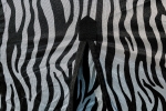 Derka-siatkowa-RIDING-WORLD-Belly-Mesh-zebra-05