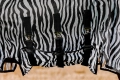 Derka-siatkowa-RIDING-WORLD-Belly-Mesh-zebra-06