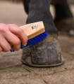 Szczotka-do-kopyt-WALDHAUSEN-Colorcare-hoof-brush-blue-03