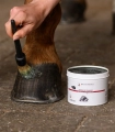 Smar-do-kopyt-WALDHAUSEN-Hoof-Ointment-black-500ml-07