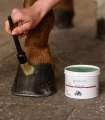 Smar-do-kopyt-WALDHAUSEN-Hoof-Ointment-green-500ml-07