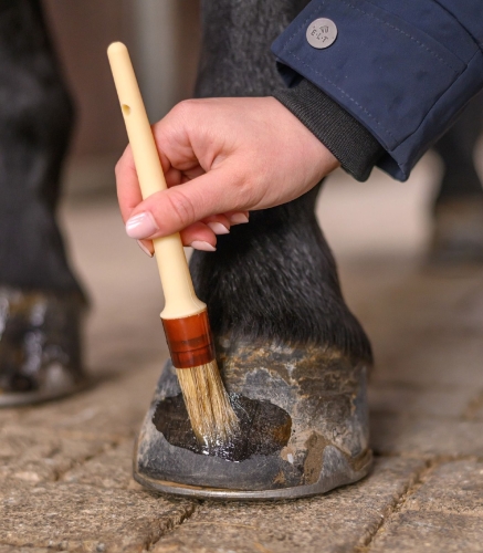 Pedzelek-do-kopyt-WALDHAUSEN-Hoof-Brush-02