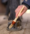 Pedzelek-do-kopyt-WALDHAUSEN-Hoof-Brush-03