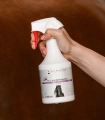 Odzywka-do-grzywy-i-ogona-WALDHAUSEN-Coconut-Oil-500ml-05