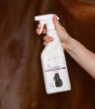 Spray-do-skory-na-swiad-i-egzeme-WALDHAUSEN-Skin-Spray-with-Liverwort-500ml-06