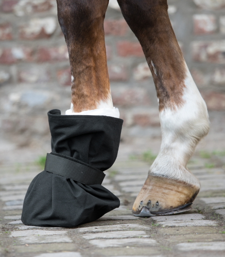 But-leczniczy-dla-koni-WALDHAUSEN-Hoof-Protection-02