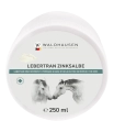 Masc-cynkowa-na-rany-WALDHAUSEN-Lebetran-Zinc-Ointment-250g-01