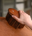 Szczotka-do-kurzu-WALDHAUSEN-HardWood-04