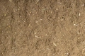 Pavo-18Plus-Cushin.2.jpg