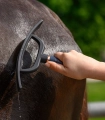 Sciagaczka-do-wody-WALDHAUSEN-Gel-black/rosegold-05