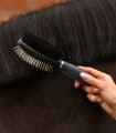 Szczotka-do-grzywy-i-ogona-WALDHAUSEN-Gel-black-04