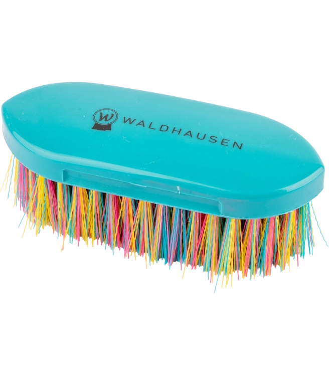 Szczotka-do-siersci-WALDHAUSEN-Rainbow-01