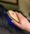 Szczotka-do-siersci-WALDHAUSEN-Colorcare-blue-04
