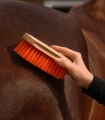 Szczotka-do-siersci-WALDHAUSEN-Colorcare-orange-03