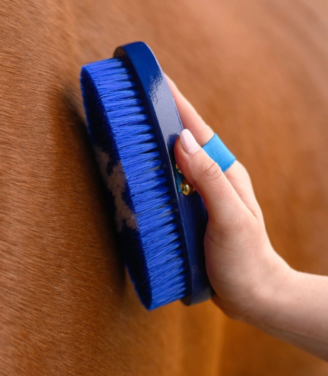 Szczotka-do-siersci-WALDHAUSEN-Children Body-Brush-Horse-blue-03