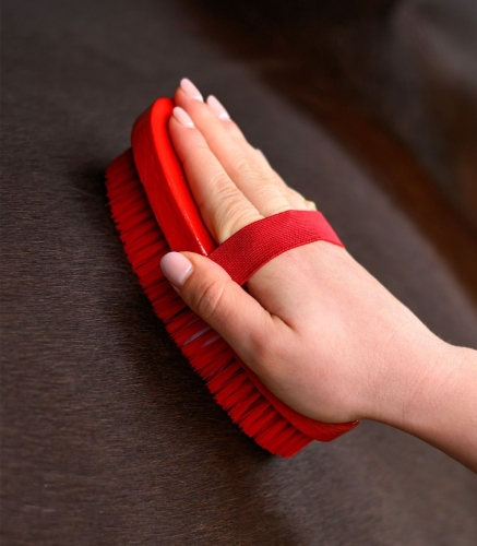 Szczotka-do-siersci-WALDHAUSEN-Children Body-Brush-Horse-02