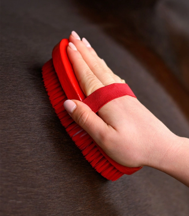 Szczotka-do-siersci-WALDHAUSEN-Children Body-Brush-Horse-02
