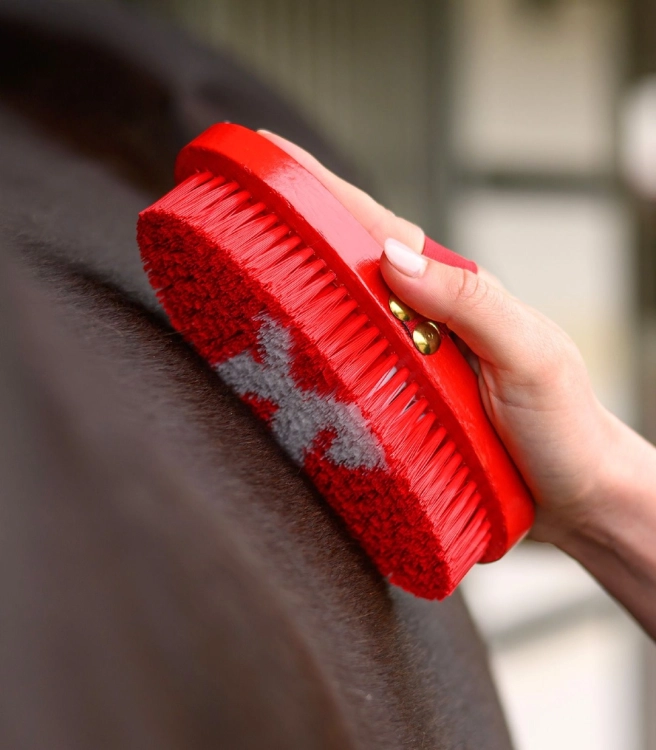 Szczotka-do-siersci-WALDHAUSEN-Children Body-Brush-Horse-03
