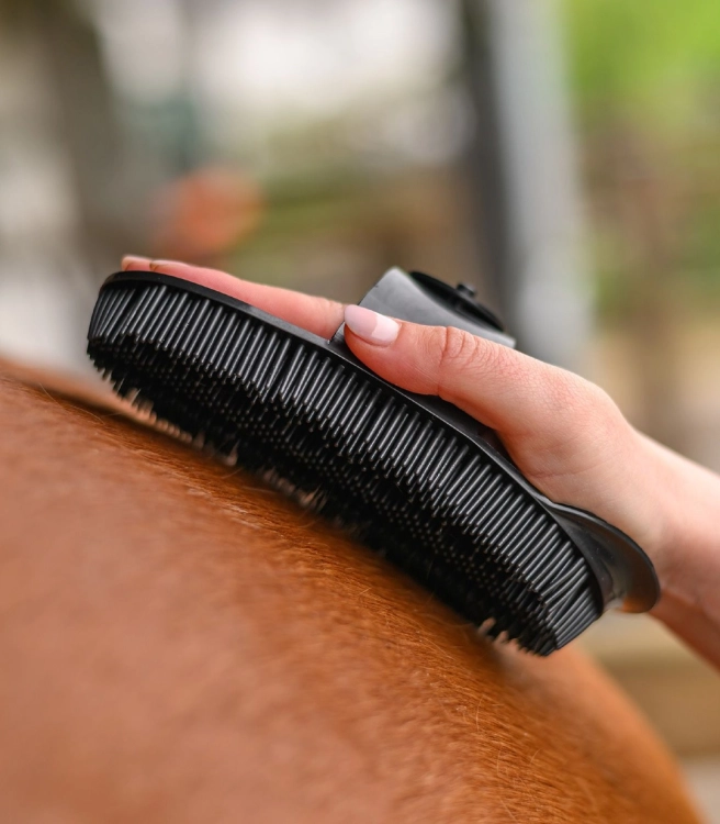 Zgrzeblo-plastikowe-WALDHAUSEN-Plastic-Curry-Comb-03