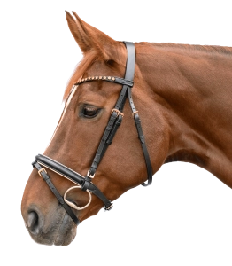 Ogłowie STAR "Rose Gold"