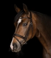 Oglowie-WALDHAUSEN-X-Line-brown-04
