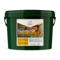 gastrorepair-mebio-na-wrzody.png