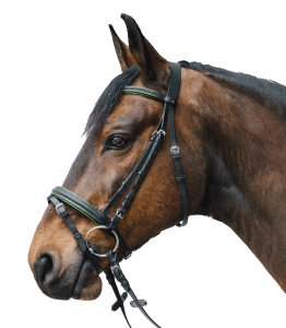 Ogłowie STAR "Diamond" green