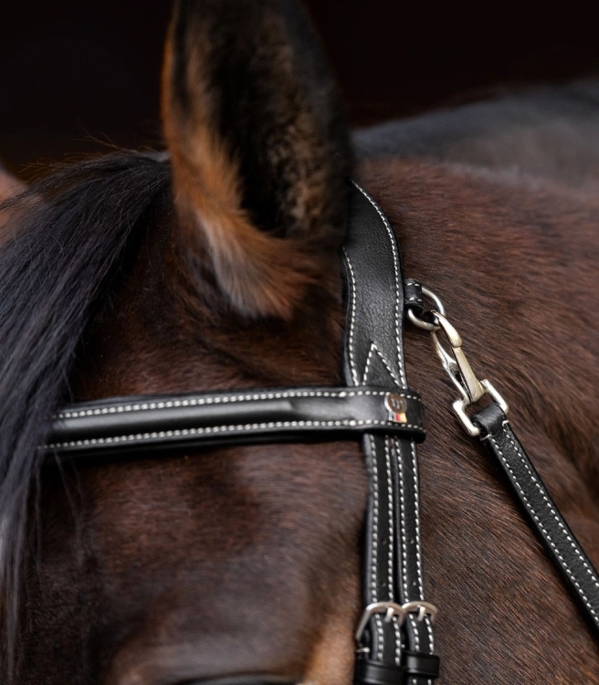 Oglowie-WALDHAUSEN-X-Line-Work-black-05