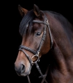 Oglowie-WALDHAUSEN-X-Line-Work-brown-05