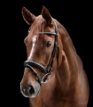Oglowie-WALDHAUSEN-X-Line-Clincher-black-04
